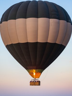 Hot Air Balloon